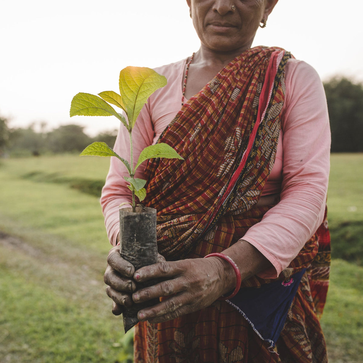 Tree Planting Site: Nepal