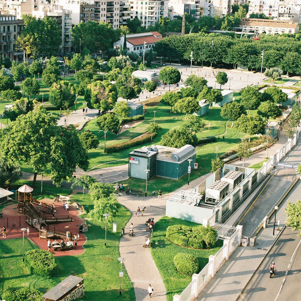 Giving The Gift of Tree Equity