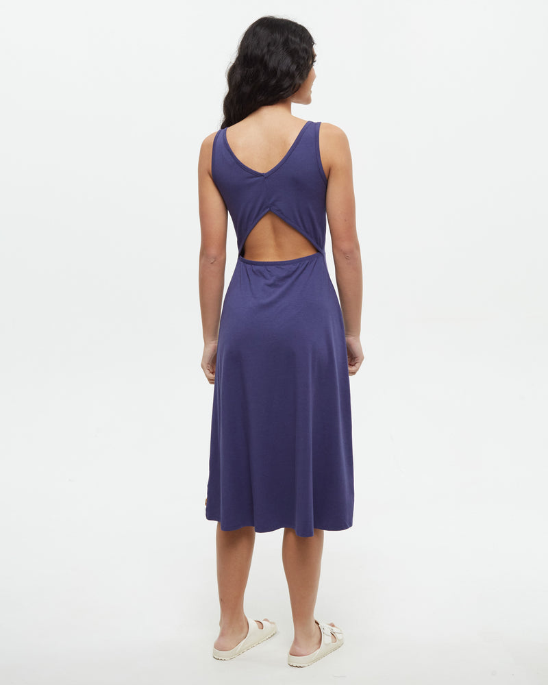 Blue-Cut-Out-Back-Fit-_-Flare-Dress