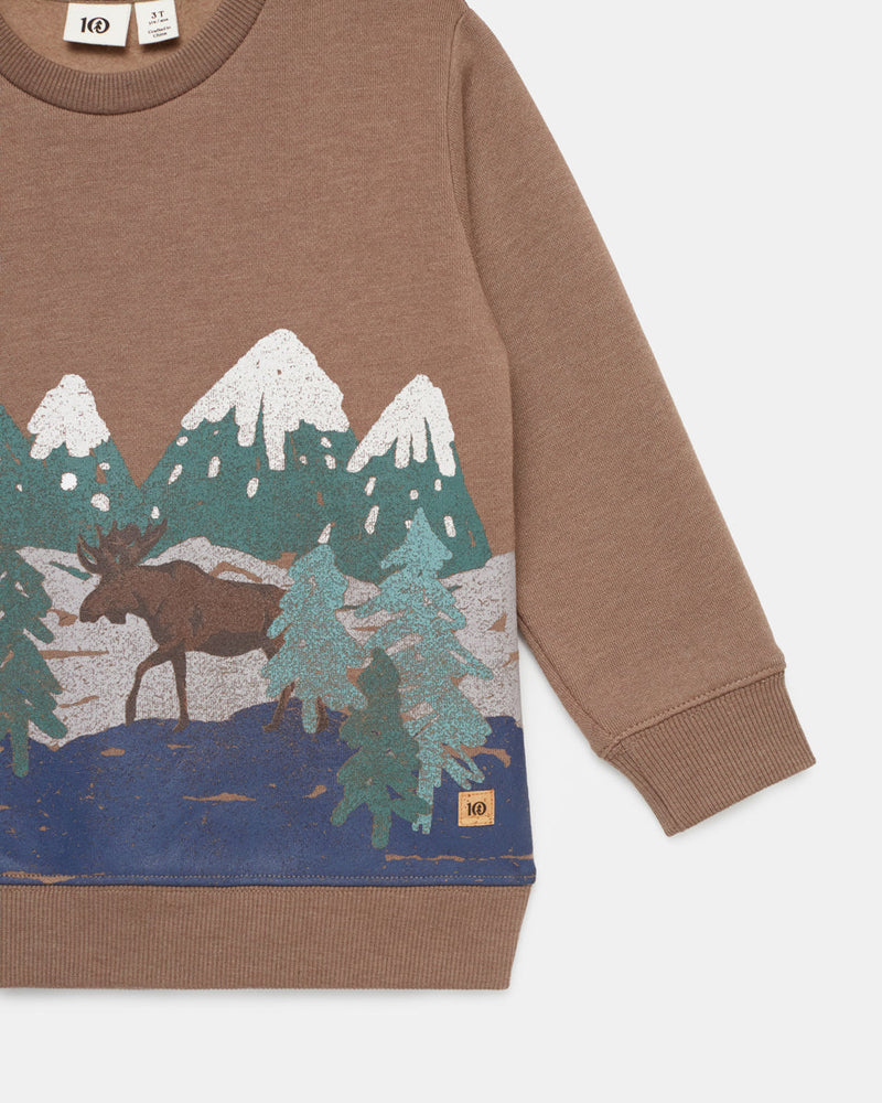 Brown-Organic-Cotton-Graphic-Crew-Neck-Sweatshirt