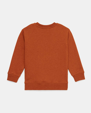 Brown-Organic-Cotton-Ribbed-Collar-Graphic-Sweatshirt