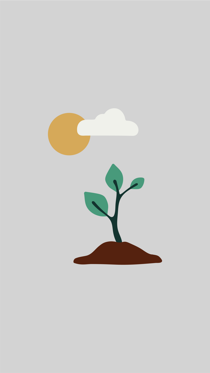 Plant 1 Tree
