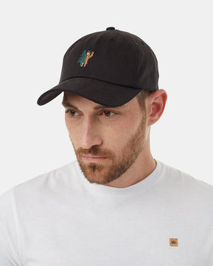 Black-Tencel-Adjustable-Baseball-Cap