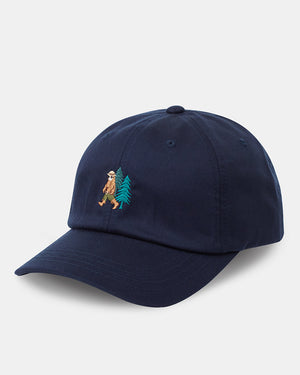 Blue-Adjustable-Eco-Friendly-Baseball-Cap