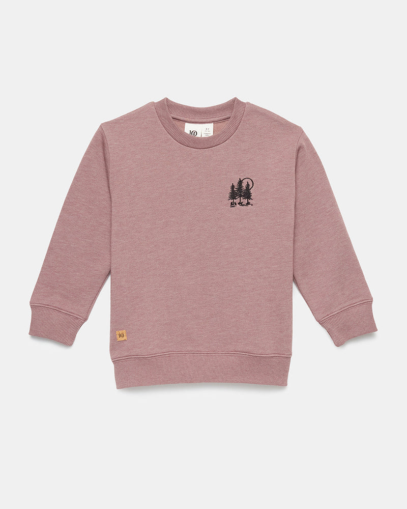 Kids-Eco-Friendly-Crew-Neck-Pullover