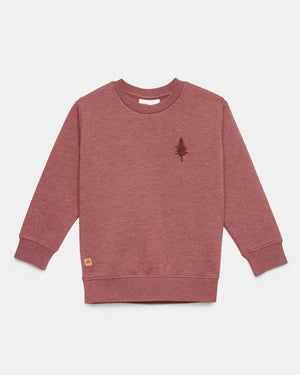 Red Kids Fleece Crew Neck Sweatshirt