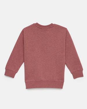 Red Kids Organic Cotton Fleece Sweatshirt