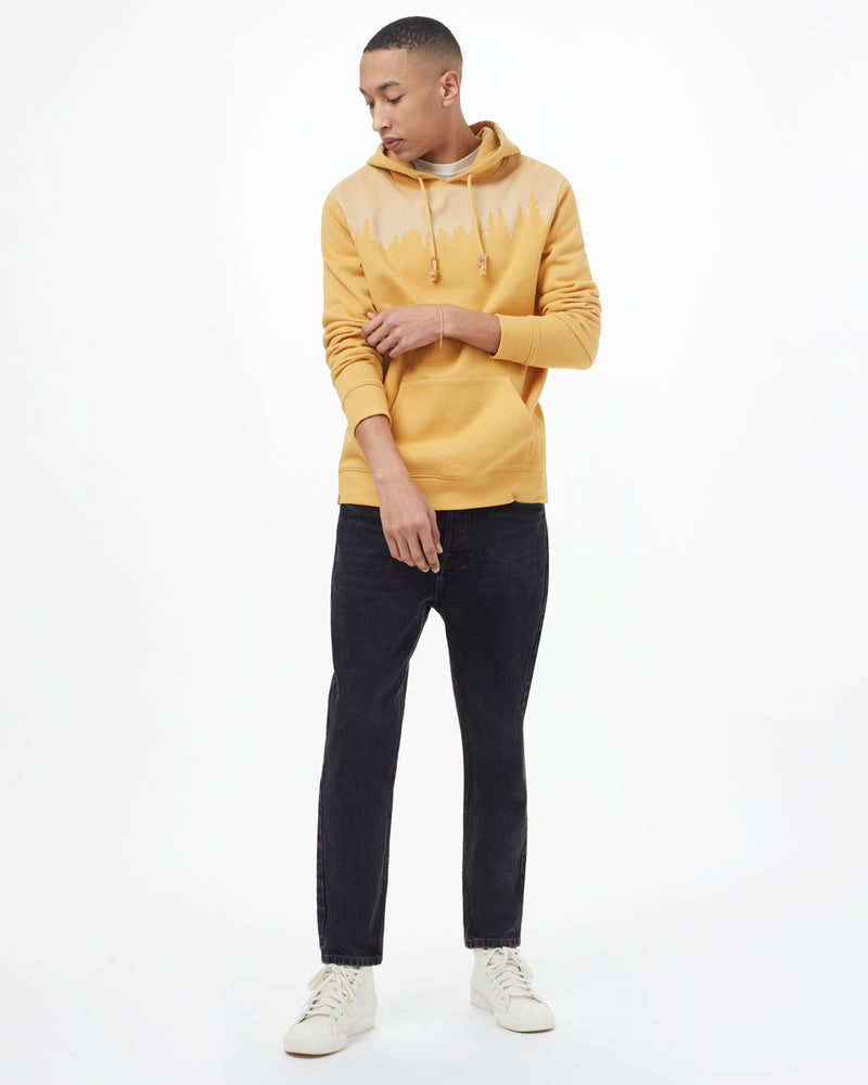 SWEET BIRCH YELLOW HEATHER_gallery
