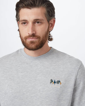 Grey Men's Sustainable Crew