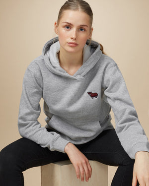 Gray Embroidered Graphic Pullover Hoodie