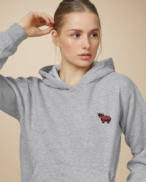 Gray Embroidered Graphic Pullover Hoodie