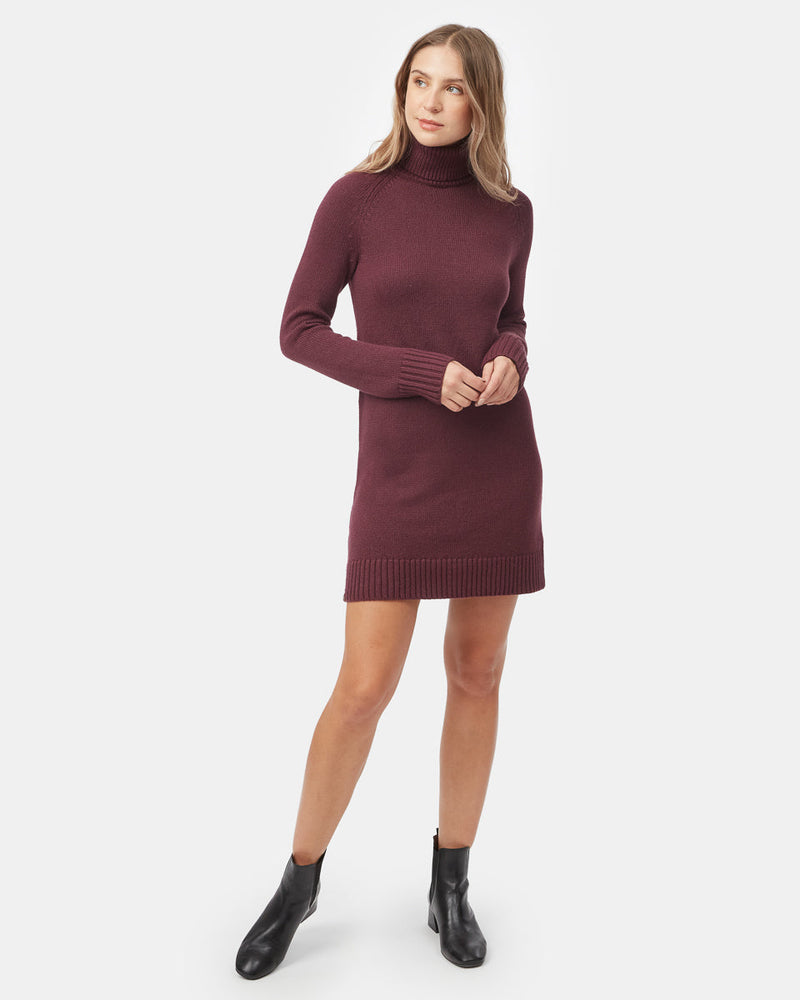 Women's Turtleneck Sweater Dress