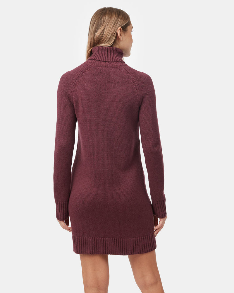 Women's Turtleneck Sweater Dress