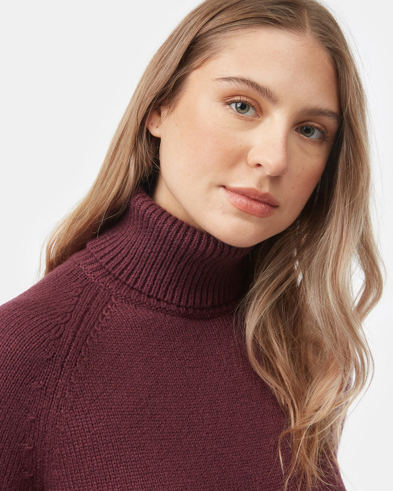 Women's Turtleneck Sweater Dress