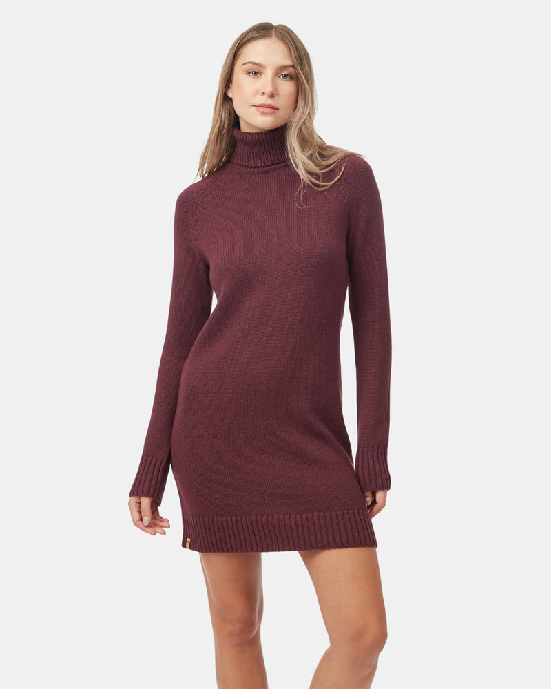 Women's Turtleneck Sweater Dress