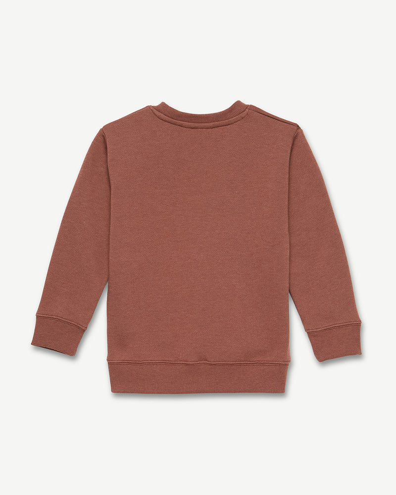 Kids Organic Cotton Fleece Sweatshirt